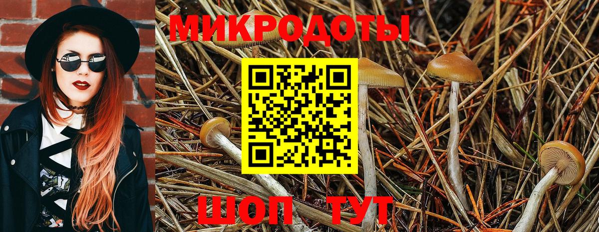 Галлюциногенные грибы мухоморы Городец